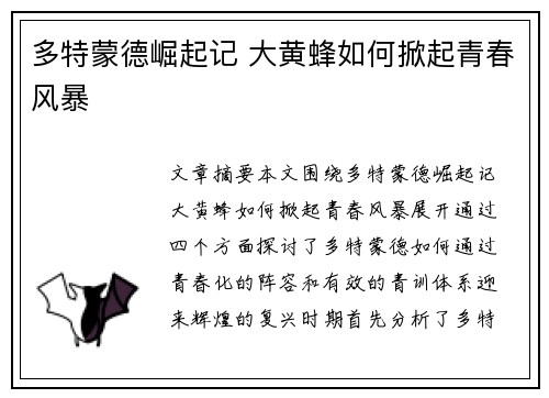多特蒙德崛起记 大黄蜂如何掀起青春风暴